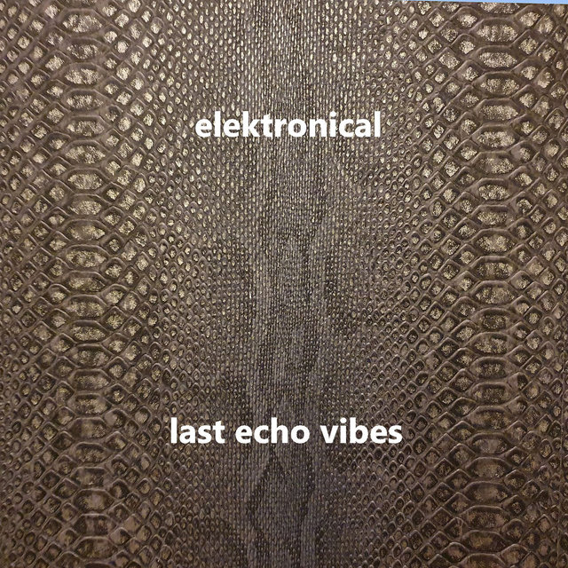 Elektronical