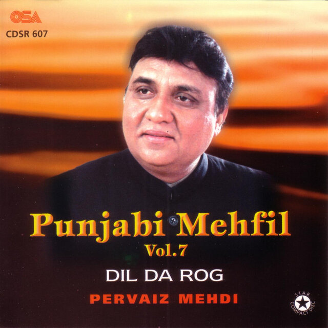 Punjabi Mehfil, Vol. 7