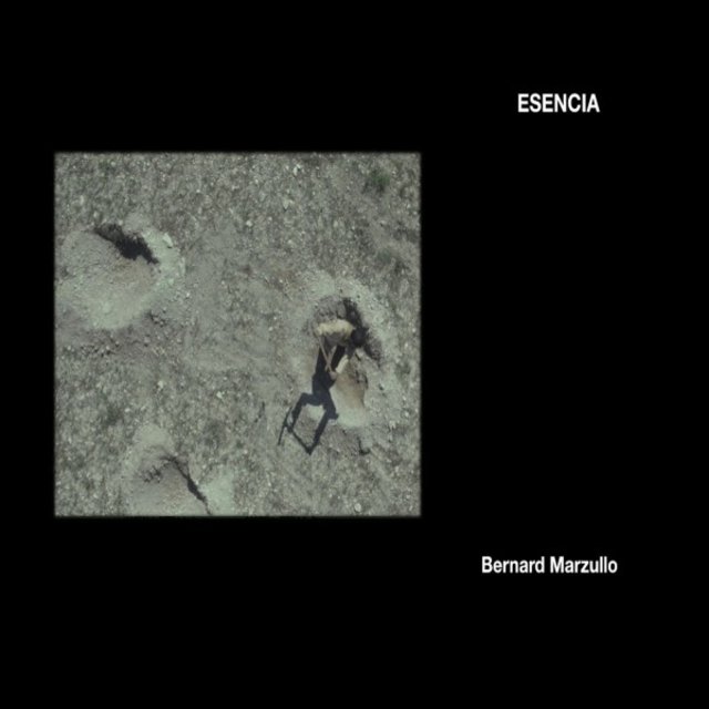 Esencia