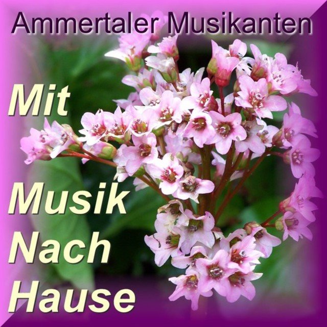 Mit Musik Nach Hause - Echte Volks- Heimat Und Blasmusik - Brass - Bavaria - Bayern