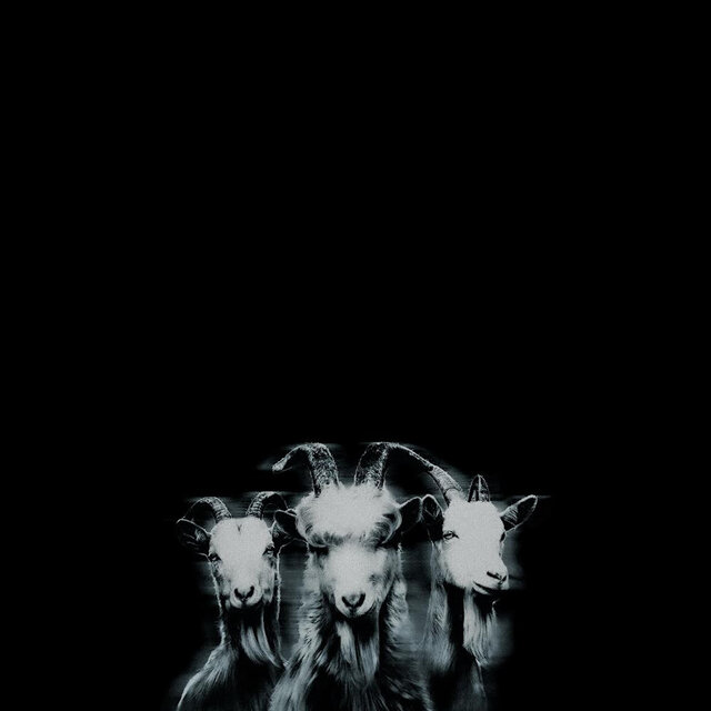 Goat