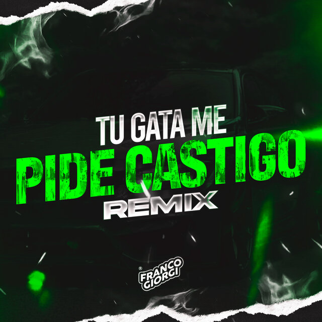Tu Gata Me Pide Castigo Tik Tok (Remix)