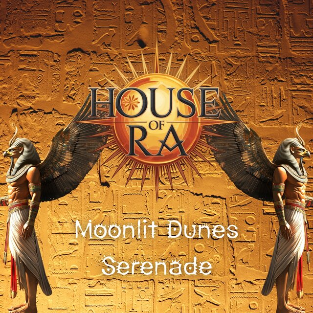 Moonlit Dunes Serenade