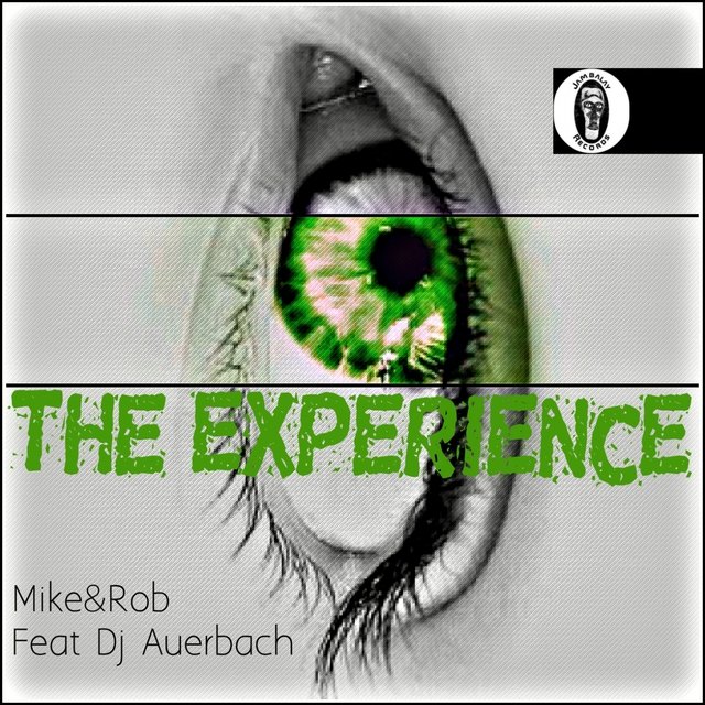The Experience