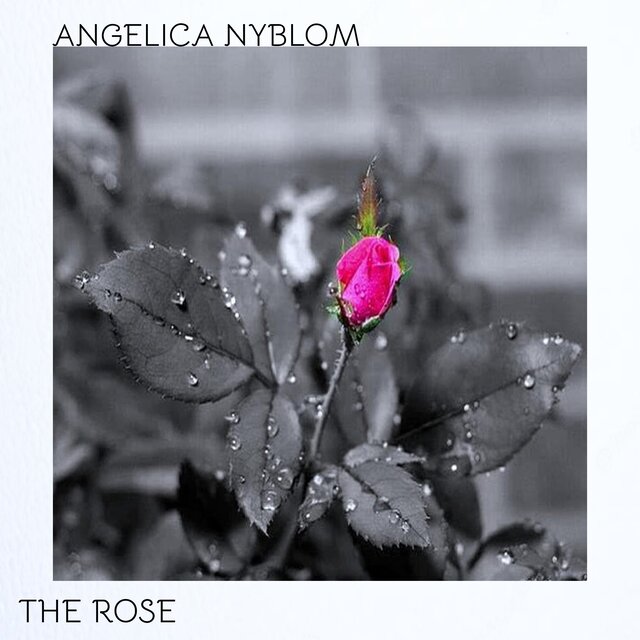 The Rose