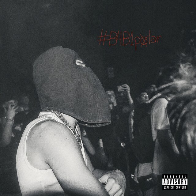 B4B1Polar