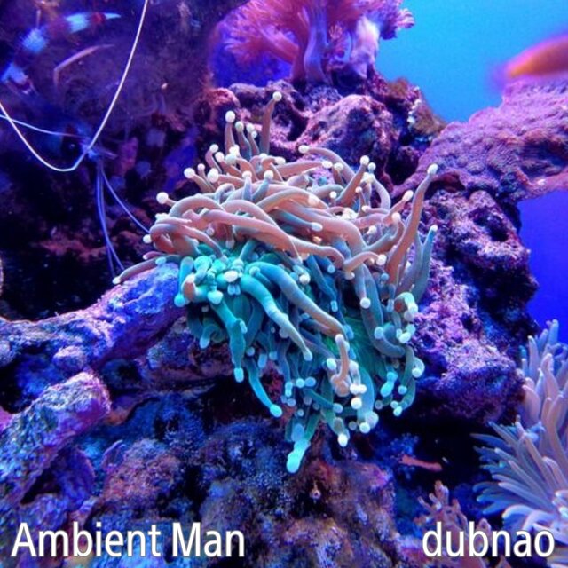 Ambient Man