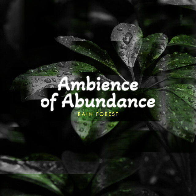 Ambience of Abundance