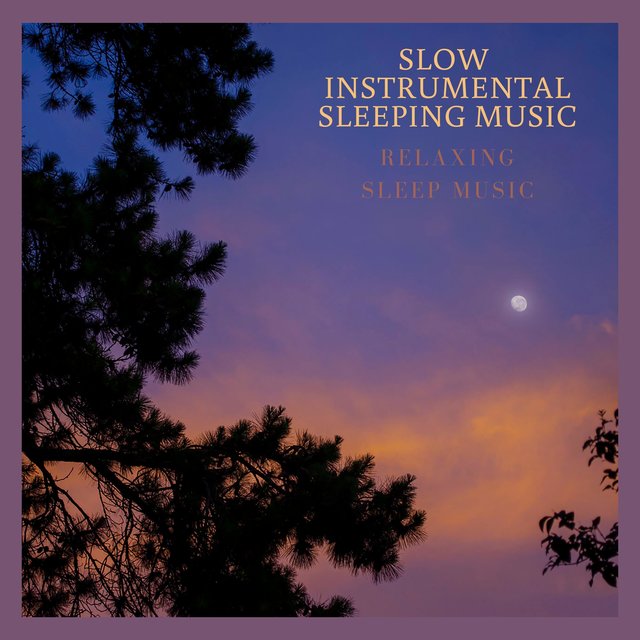 Relaxing Sleep Music
