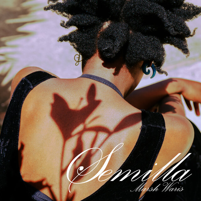 Semilla