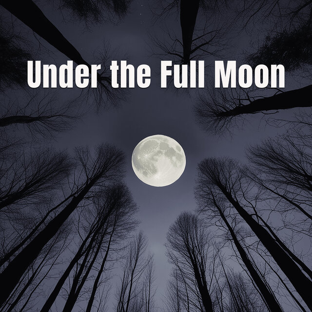 Under the Full Moon