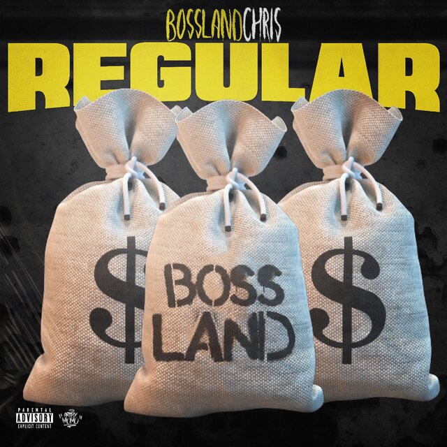 Regular (feat. T Casa & BNC 4nero)