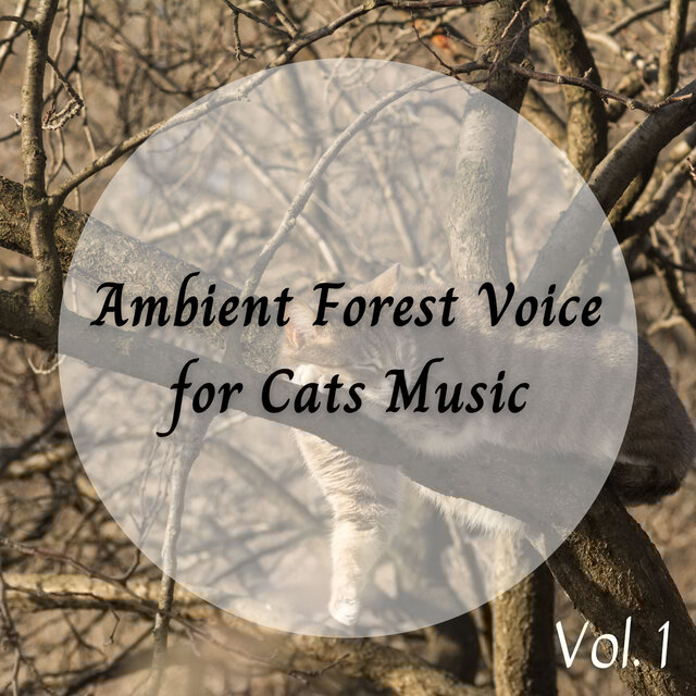 Ambient Forest Voice for Cats Music Vol. 1