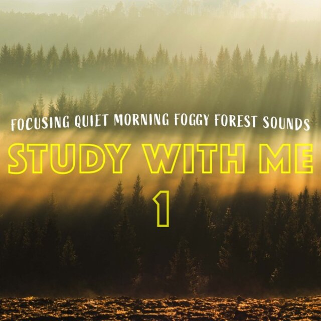 Study with Me: Focusing Quiet Morning Foggy Forest Sounds