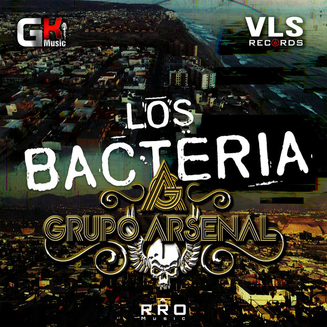 Los Bacteria