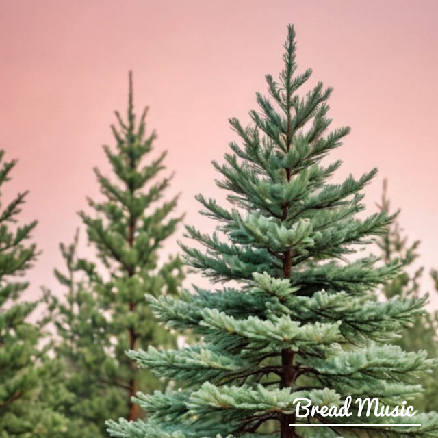 Soft Piano Music for Reading. 10 Tracks (Birds Sound)  |  The Scent of Rain on Pine