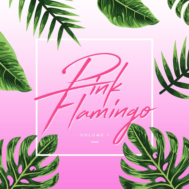Pink Flamingo Volume 1