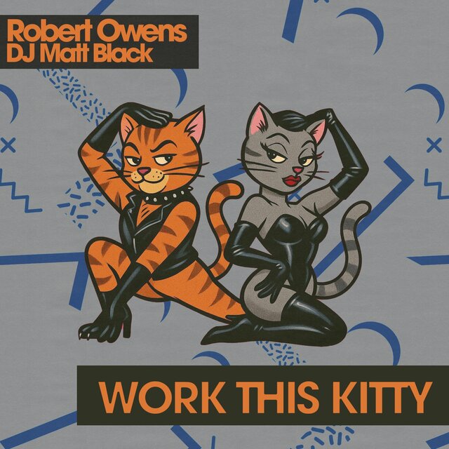 Work This Kitty