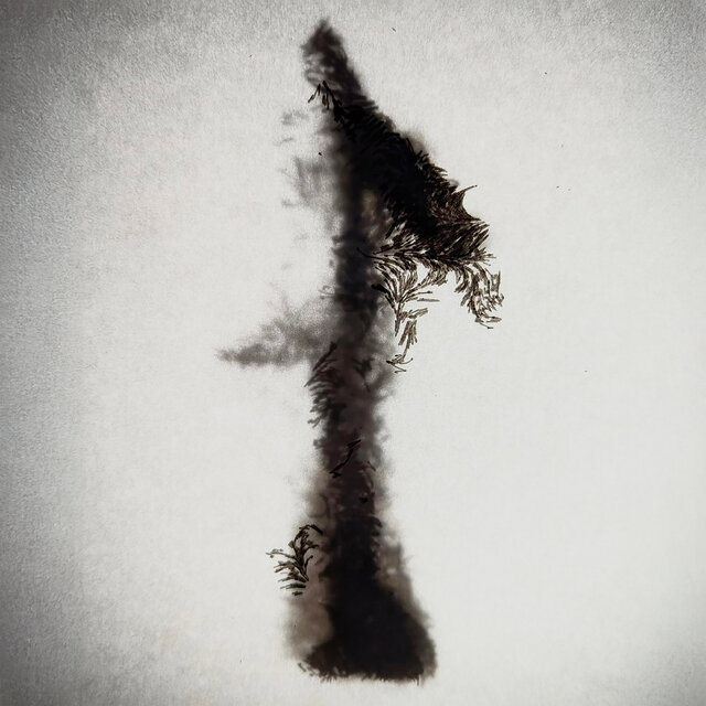 Cover art for album There Will Come Soft Rains by VLMV