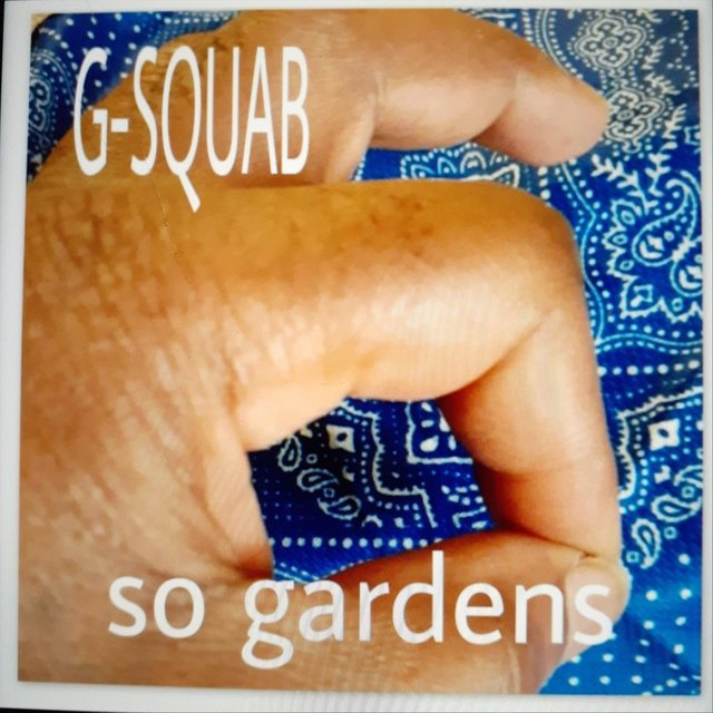 So Gardens (Live)