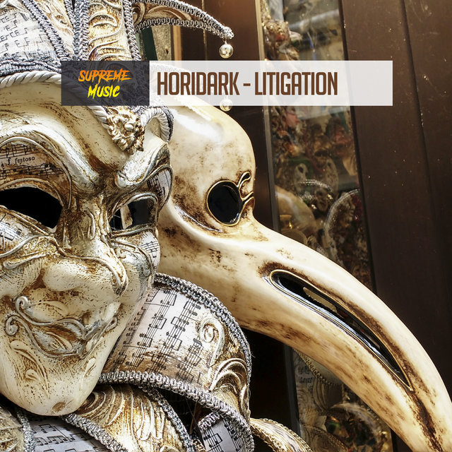 Litigation