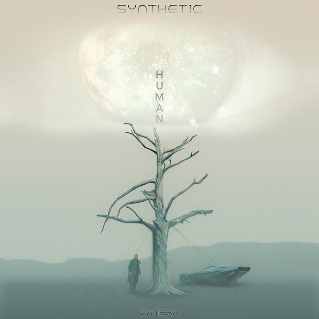 Synthetic Human