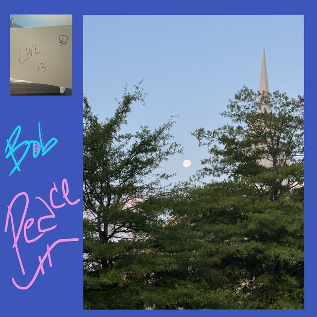 Live Peace Vol. 13 - Live in Kentucky 7-11-25 (Live)