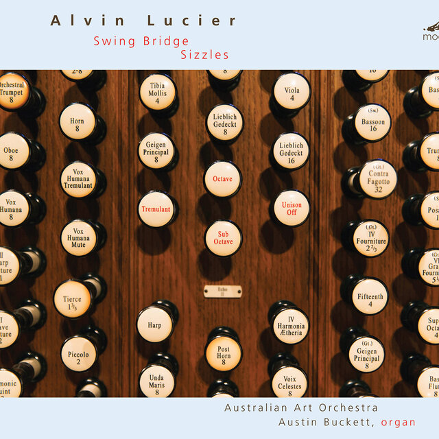 Alvin Lucier: Swing Bridge & Sizzles