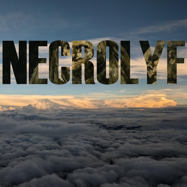 NECROLYF