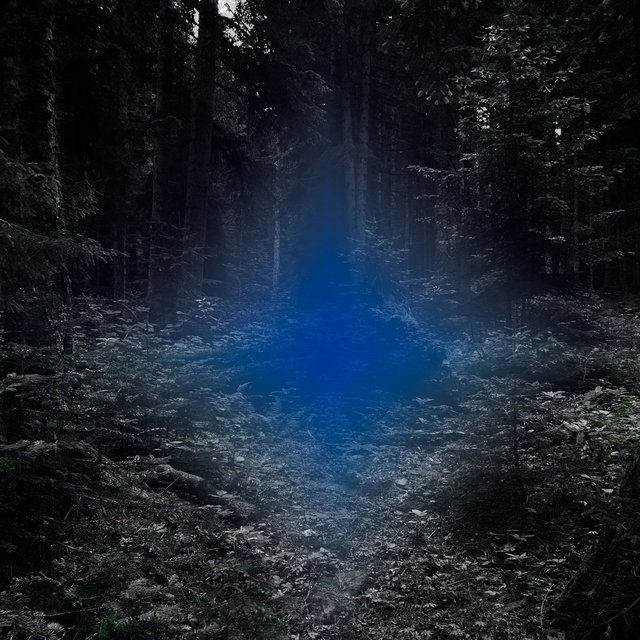 Vessel