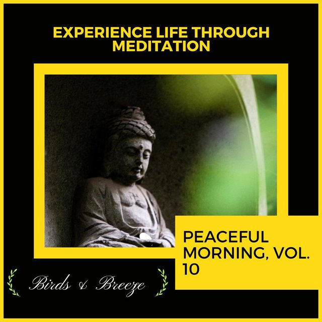 Experience Life Through Meditation - Peaceful Morning, Vol. 10