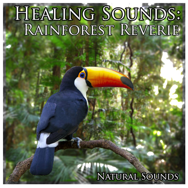 Healing Sounds: Rainforest Reverie