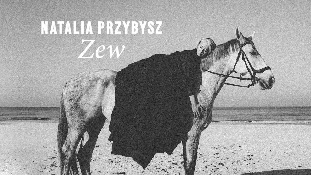 Zew