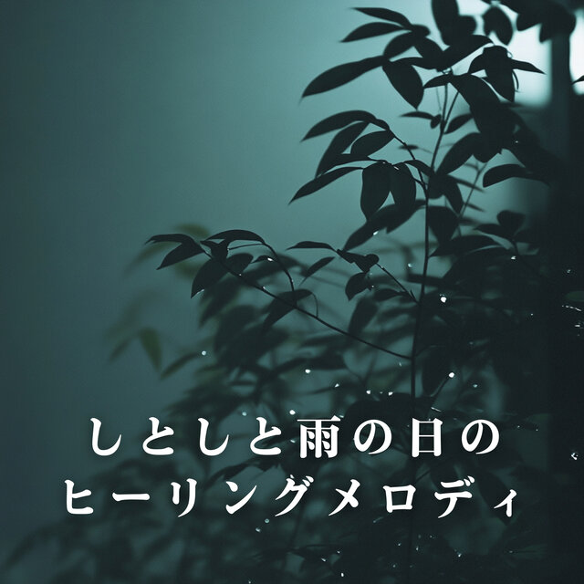 Healing Melodies for a Gentle Rainy Day