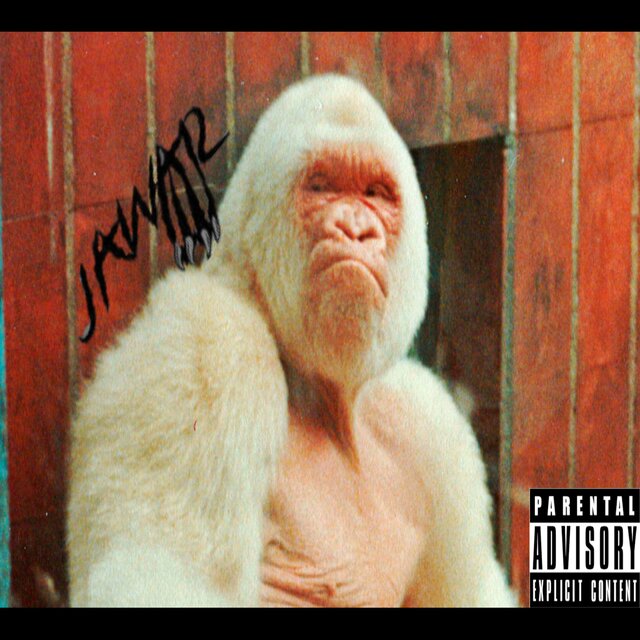 Gorilla
