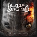 Mirror the Reflection