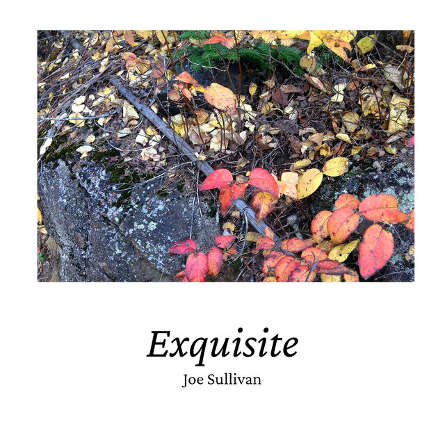 Exquisite