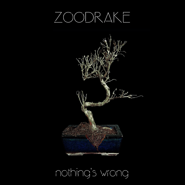 Nothing's Wrong
