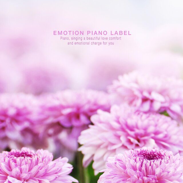 New age piano for stress relieving of study
