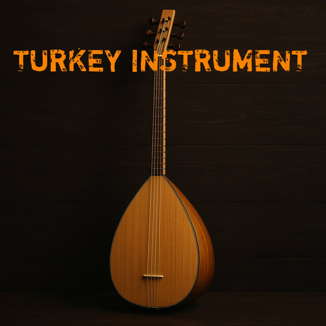 Turkey Instrument