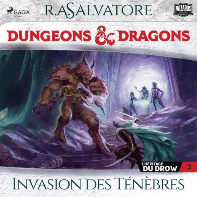L'héritage du Drow - Tome 3, Invasion des Ténèbres