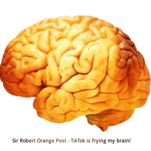 Tiktok is frying my brain!