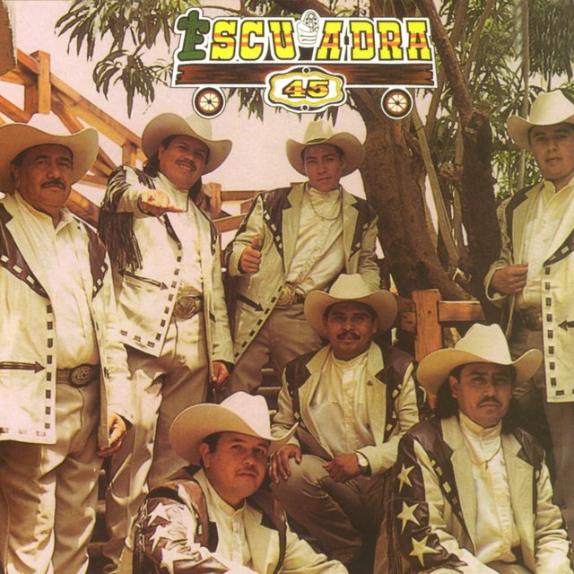 Escuadra 45