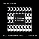 Perro Negro