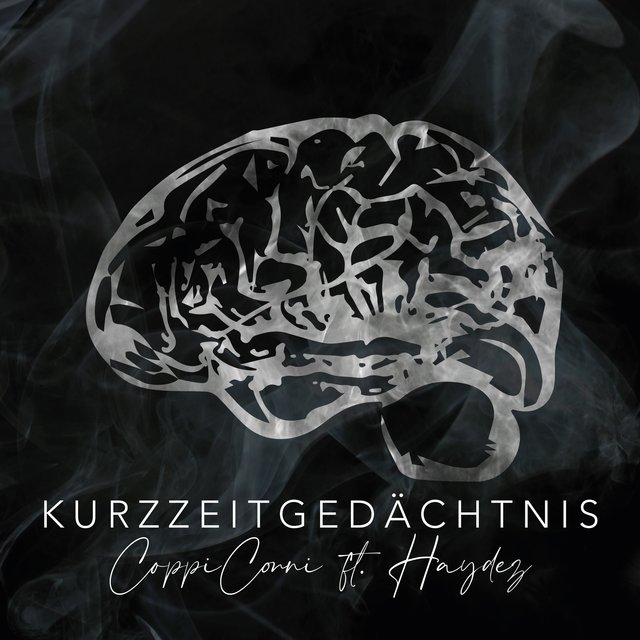Kurzzeitgedächtnis (feat. Haydez)