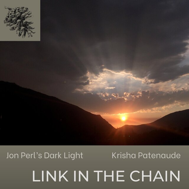 Link in the Chain