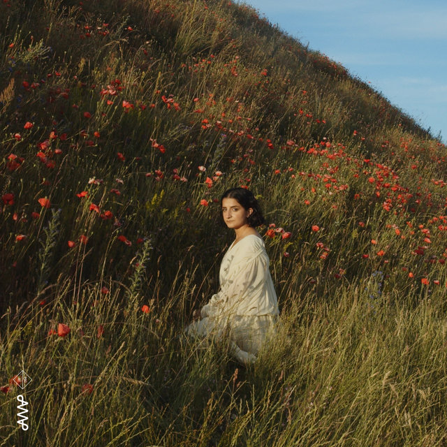 Imaginary Gardens