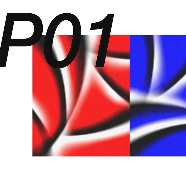 P01