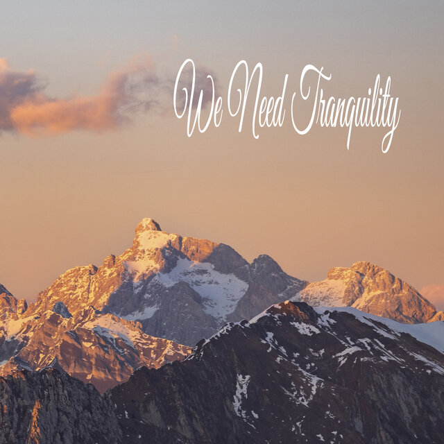 We Need Tranquility