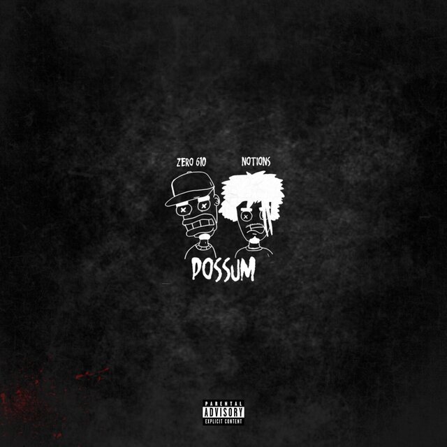 POSSUM